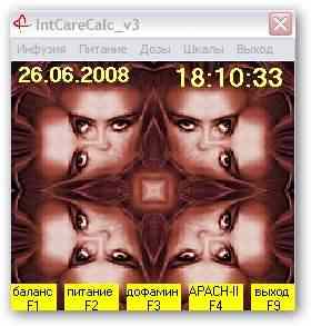 IntCareCalc v.3